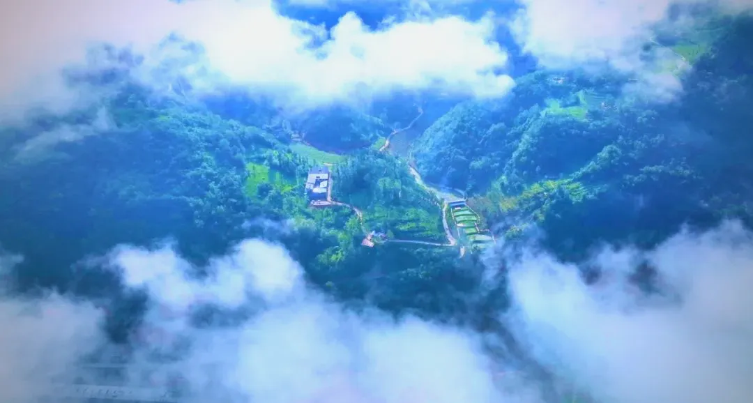 茶旅新地標(biāo)！楮溪源景區(qū)帶你開啟茶旅融合新體驗！