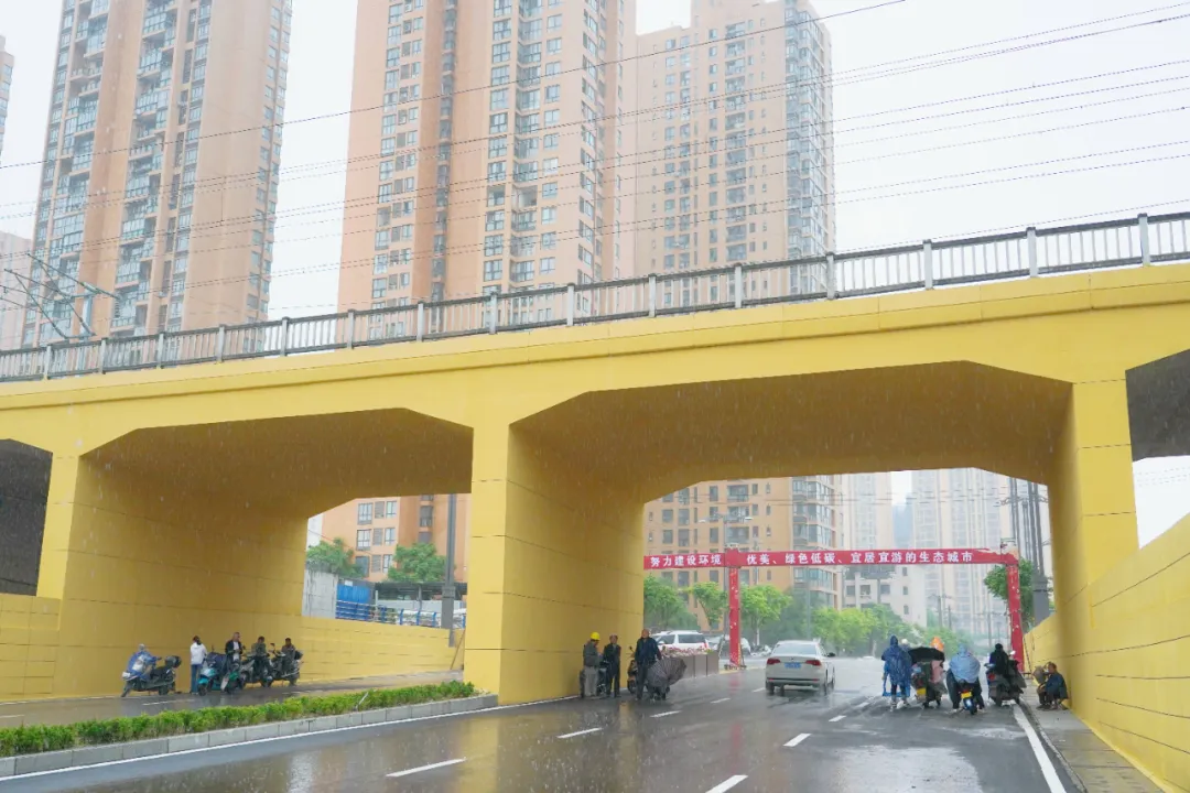 出行方便了！漢中興漢新區(qū)惠府路主車道通車！