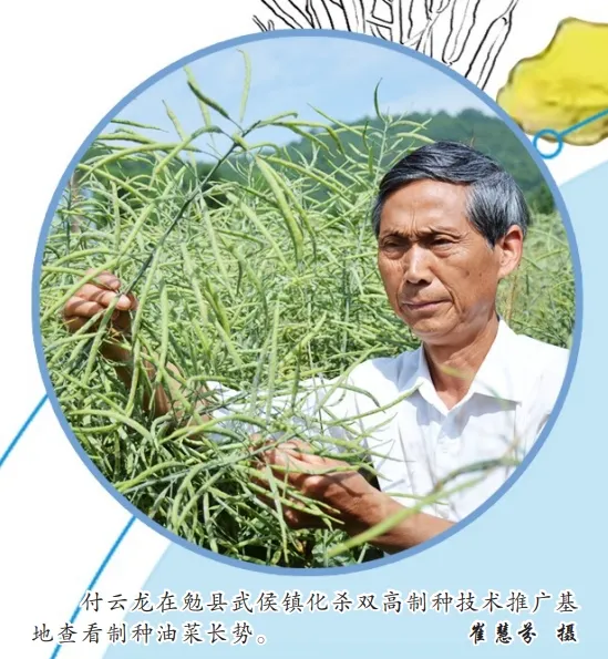 中國油菜的“漢中芯”！探尋背后硬核→