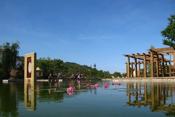 “櫻”你而來(lái)，“桃”你歡喜！西鄉(xiāng)櫻桃即將上市！