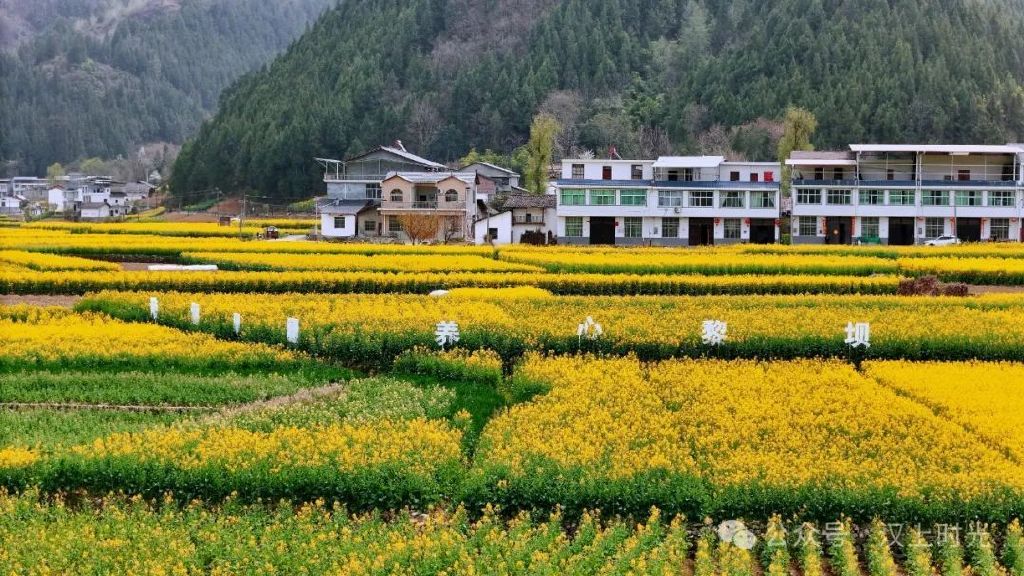 鎮(zhèn)巴春日盛宴旅游攻略，讓這個(gè)春天不留遺憾！