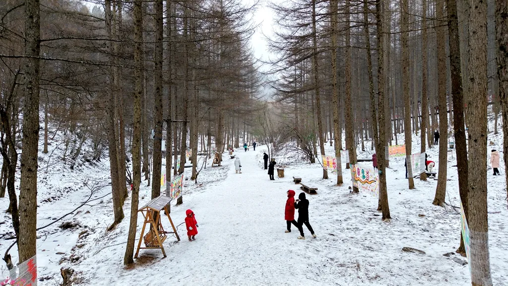 滑雪、戲雪、賞民俗！留壩景區(qū)“上才藝”