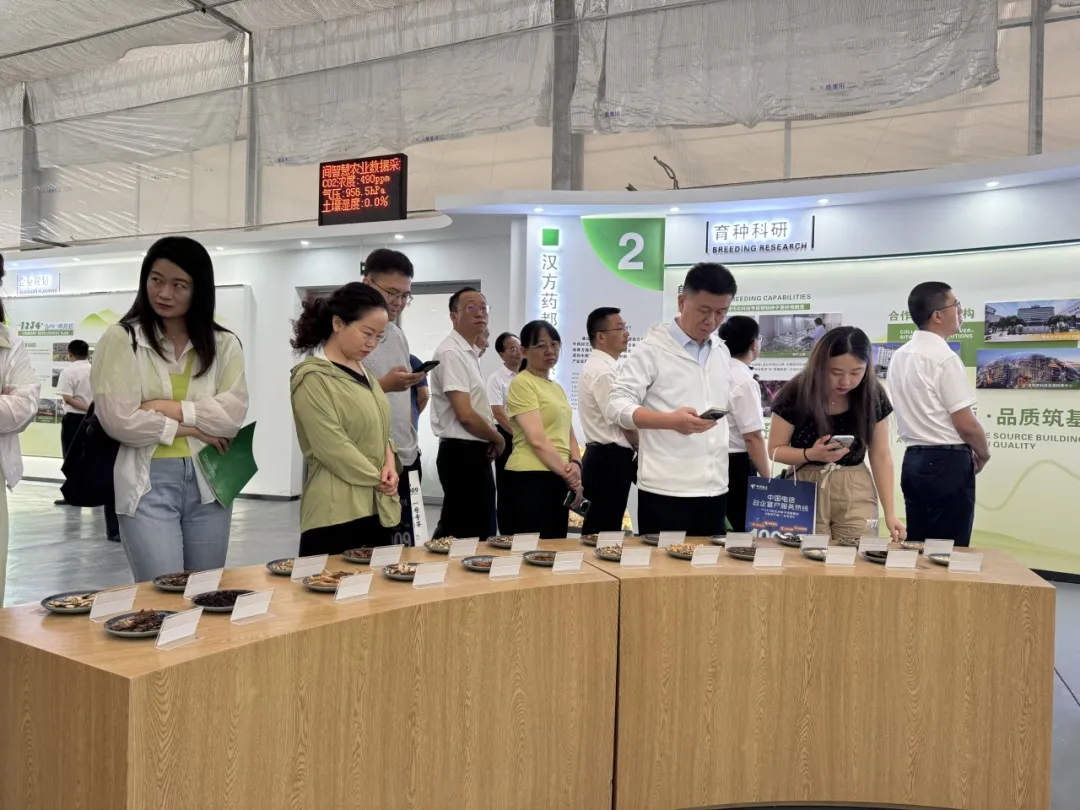 中省媒體聚焦?jié)h中新型工業(yè)！傳統(tǒng)行業(yè)煥發(fā)新生→