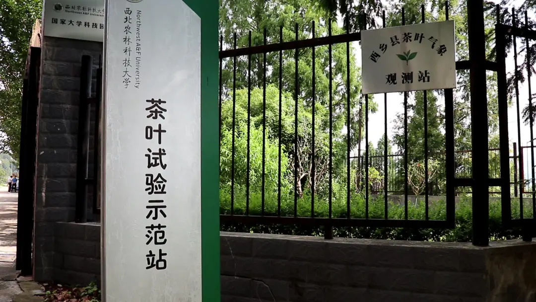 漢中首個(gè)！正式揭牌