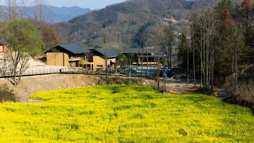 看巴山云海，住獨棟小院。走進鎮(zhèn)巴歡喜山，把自己住在風景里。