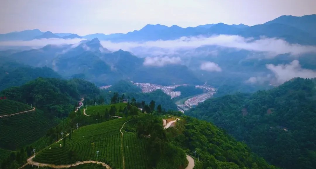 茶旅新地標(biāo)！楮溪源景區(qū)帶你開啟茶旅融合新體驗！