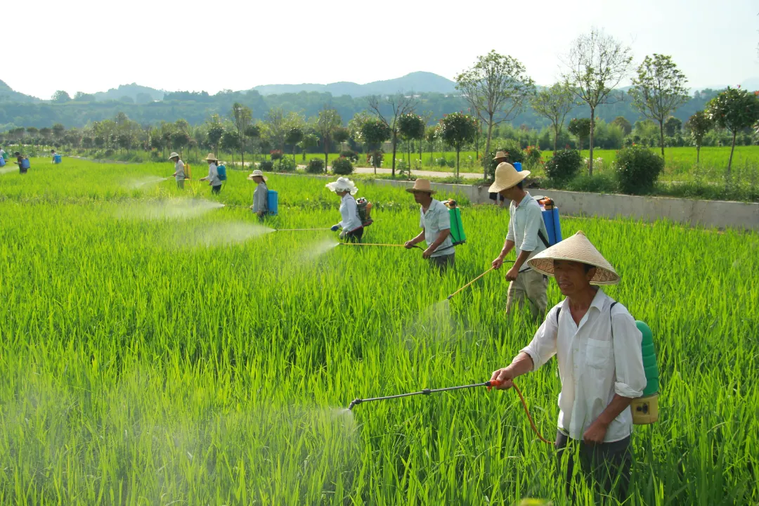 央視鏡頭對準(zhǔn)漢中！解鎖朱鹮故鄉(xiāng)鄉(xiāng)村振興的“生態(tài)密碼”→