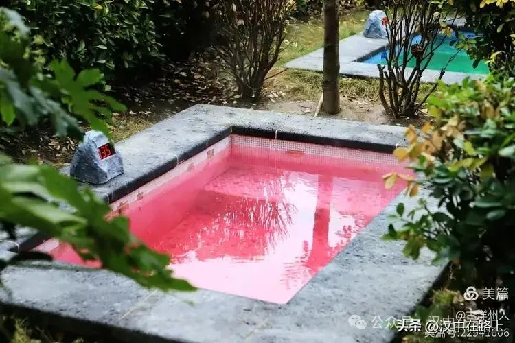 春節(jié)不遠游！漢中這幾個地方嗨翻天