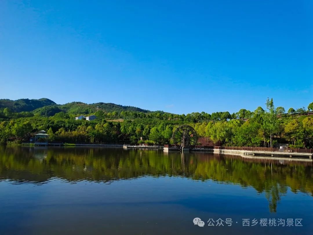 “櫻”你而來(lái)，“桃”你歡喜！西鄉(xiāng)櫻桃即將上市！
