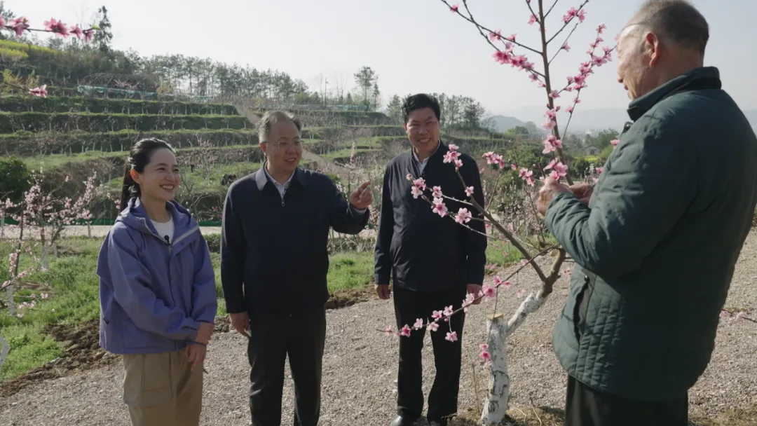 央視財經(jīng)關(guān)注！看漢中如何探索鄉(xiāng)村振興之路→