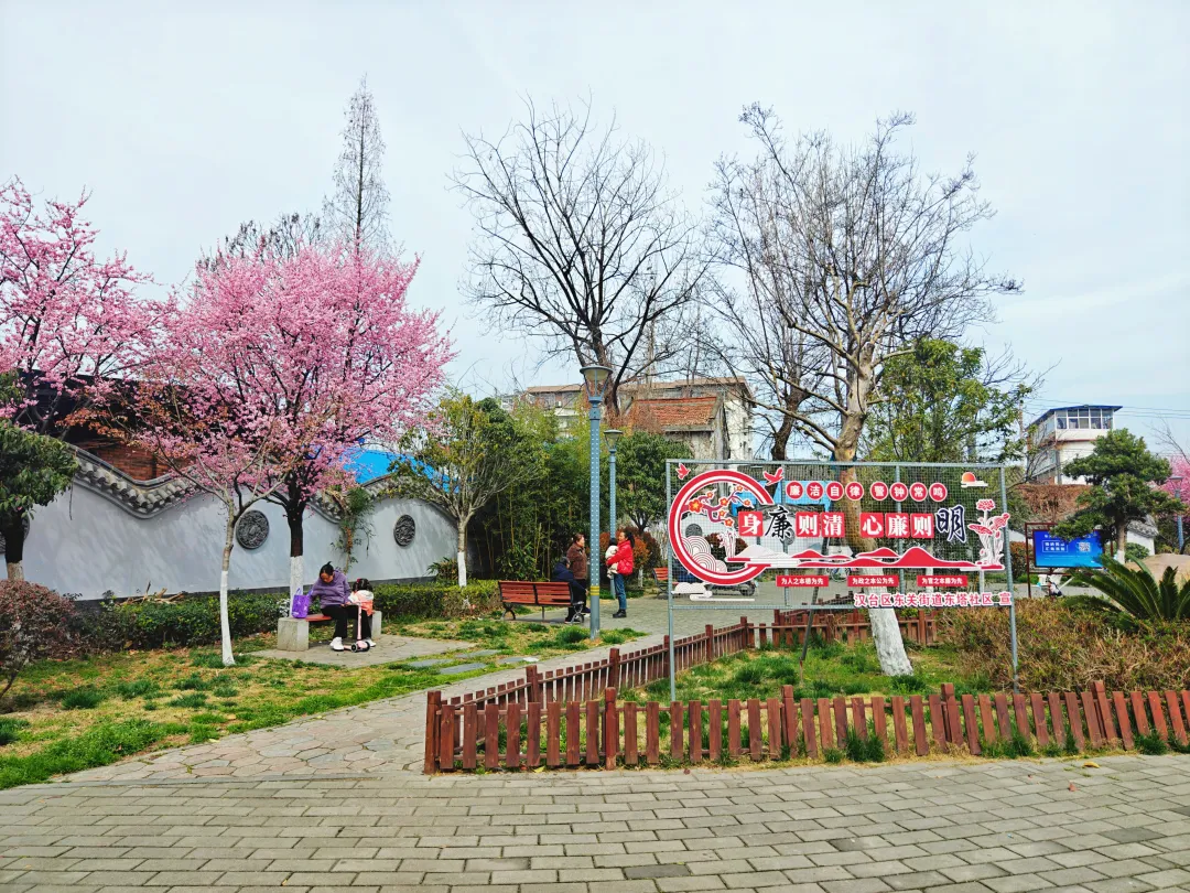口袋公園：靚了城市，美了生活，暖了人心