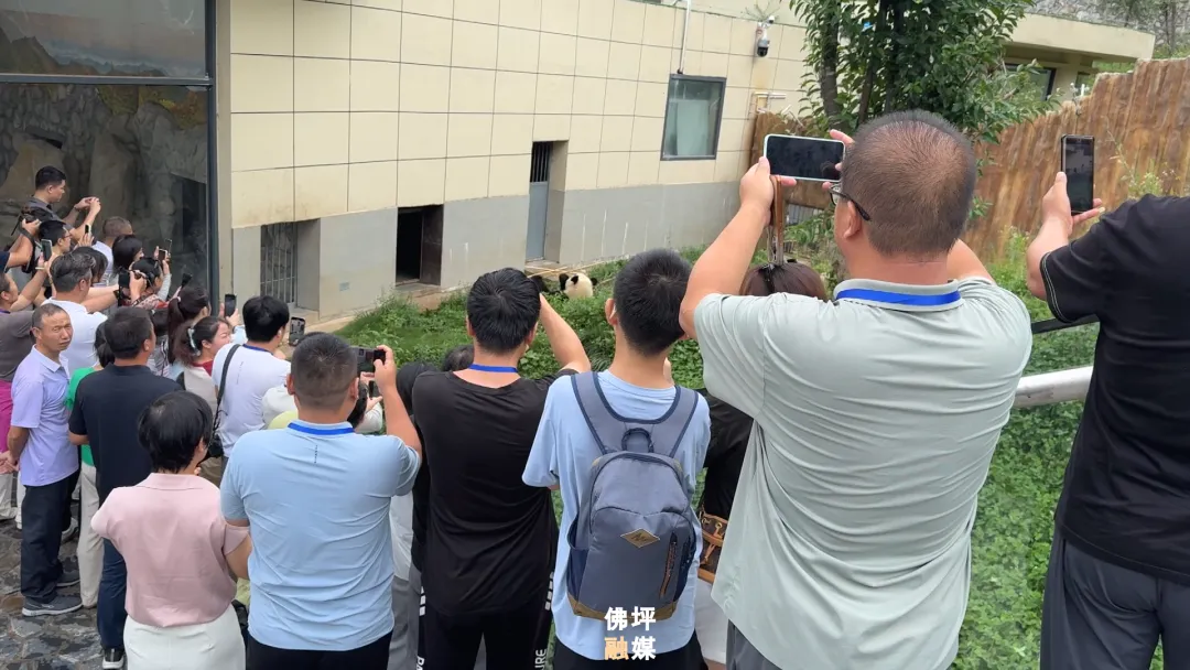 40家中省市網(wǎng)絡媒體和名人聚集佛坪，為什么→ 做什么→