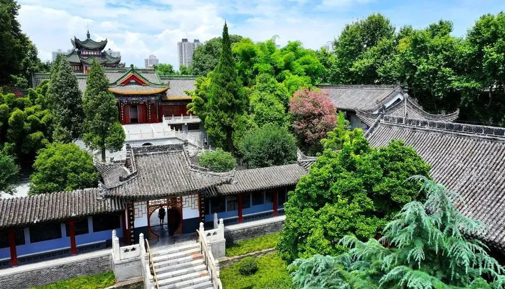 春天出游季！漢臺系列活動請收好，就等你來