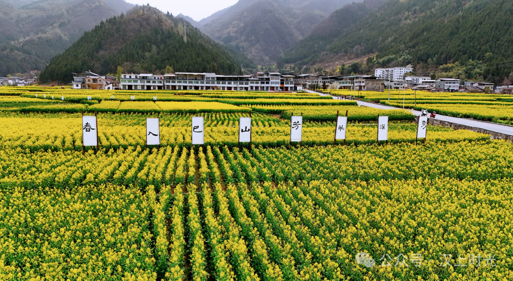 鎮(zhèn)巴春日盛宴旅游攻略，讓這個(gè)春天不留遺憾！
