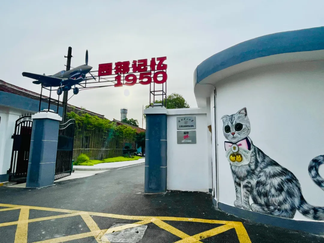 收藏！2025漢中春節(jié)最全文旅活動指南來了