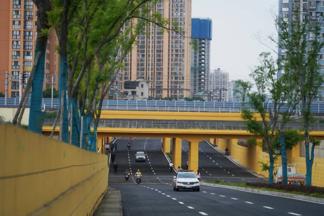 出行方便了！漢中興漢新區(qū)惠府路主車道通車！