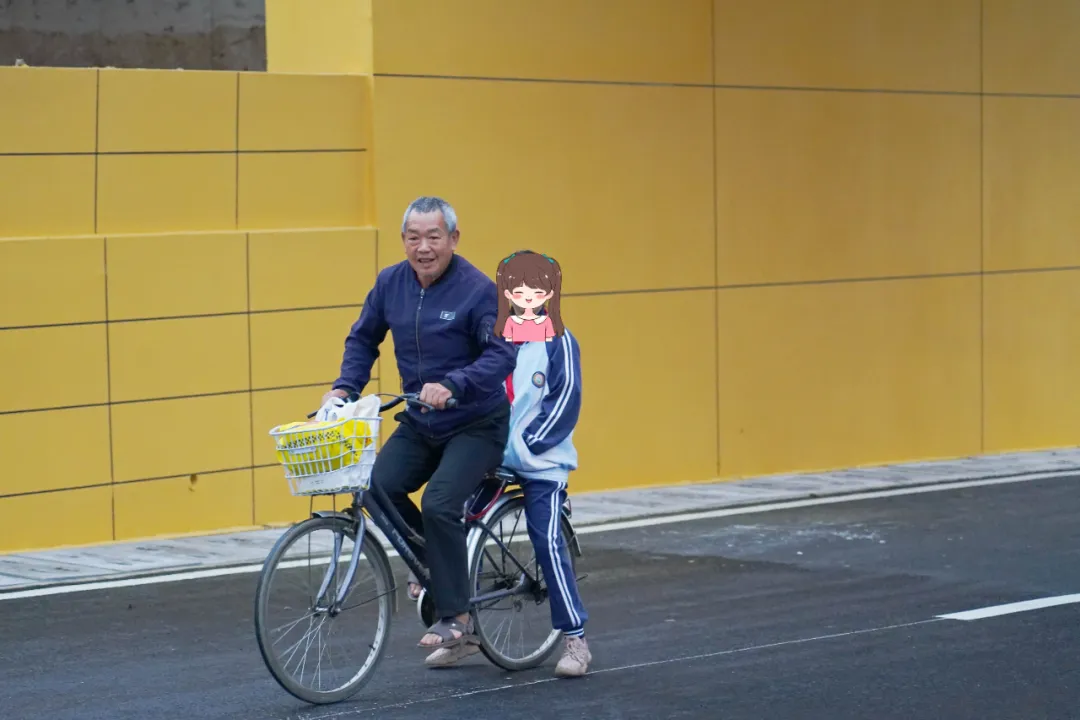 出行方便了！漢中興漢新區(qū)惠府路主車道通車！
