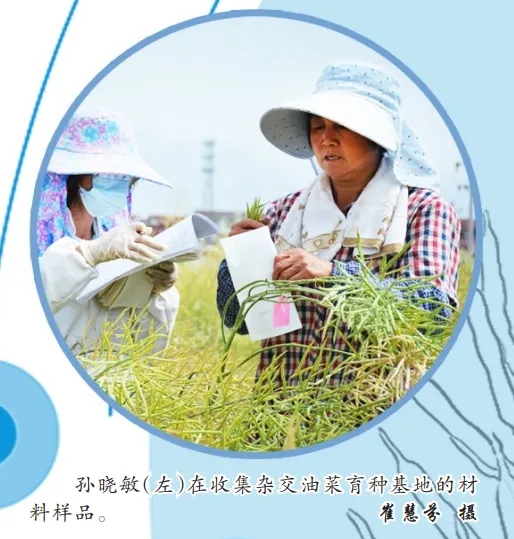 中國油菜的“漢中芯”！探尋背后硬核→