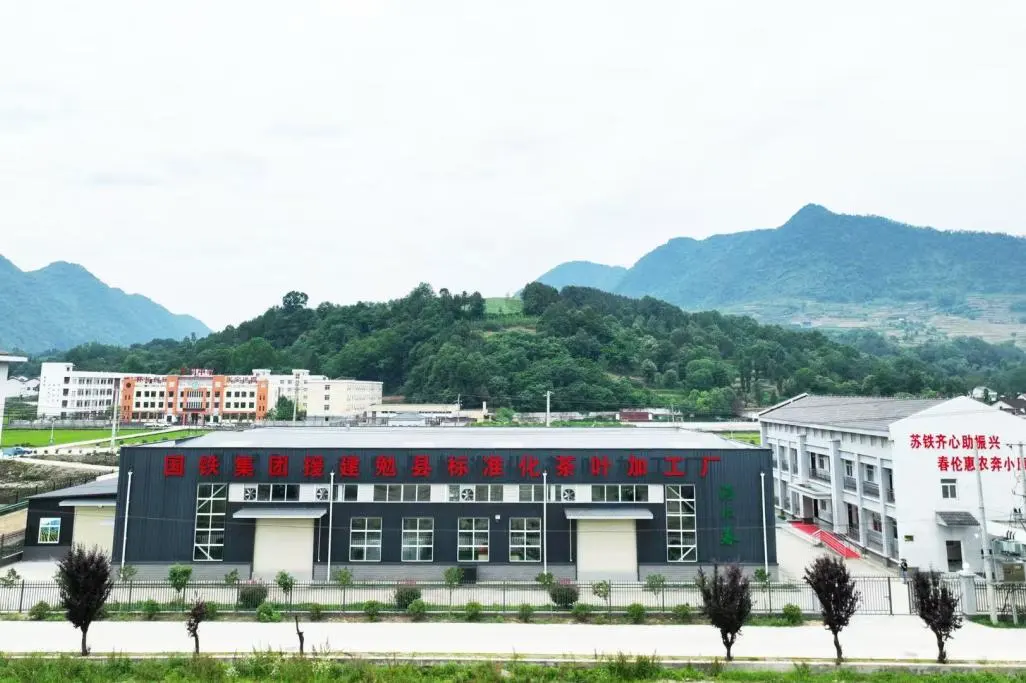 訂單接到手軟！漢中茶界“黑馬”逆襲→