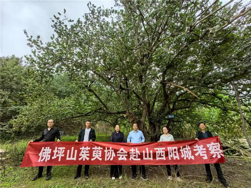 李茂武 | 更把茱萸仔細(xì)看——佛坪縣山茱萸協(xié)會(huì)赴山西陽城交流記