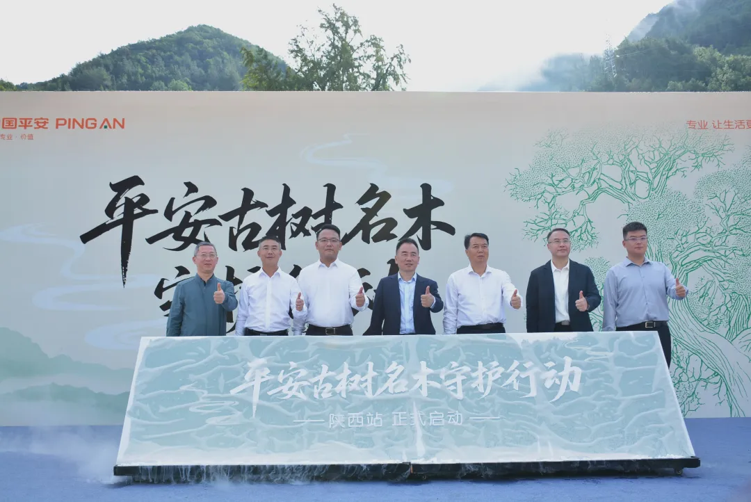 漢中545株古樹名木獲保險(xiǎn)護(hù)航！單株最高保8萬(wàn)元！