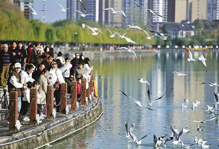 收藏！2025漢中春節(jié)最全文旅活動指南來了