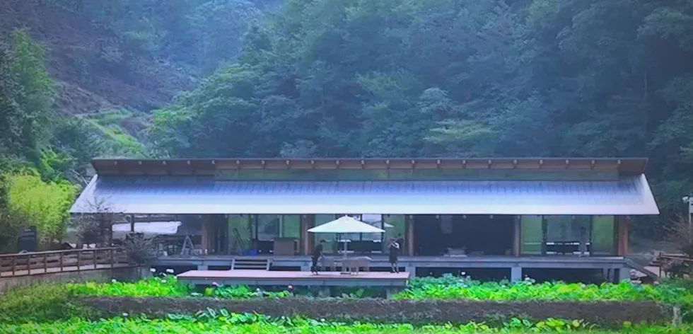 茶旅新地標(biāo)！楮溪源景區(qū)帶你開啟茶旅融合新體驗！