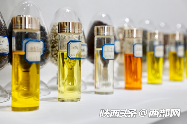 生態(tài)高顏值·發(fā)展高質(zhì)量｜油菜花、牡丹花、黑稻田 漢中洋縣有機(jī)產(chǎn)業(yè)有自己的“三原色”