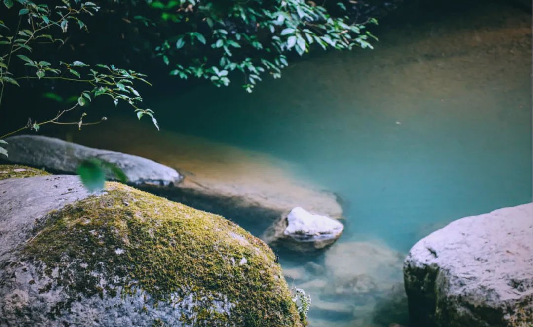茶旅新地標(biāo)！楮溪源景區(qū)帶你開啟茶旅融合新體驗！