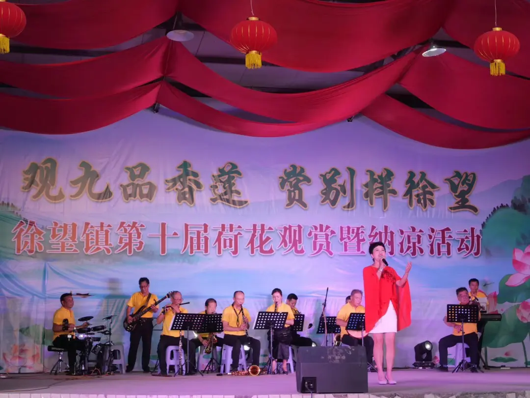 漢臺區(qū)徐家灣村：“荷經濟”添彩鄉(xiāng)村振興