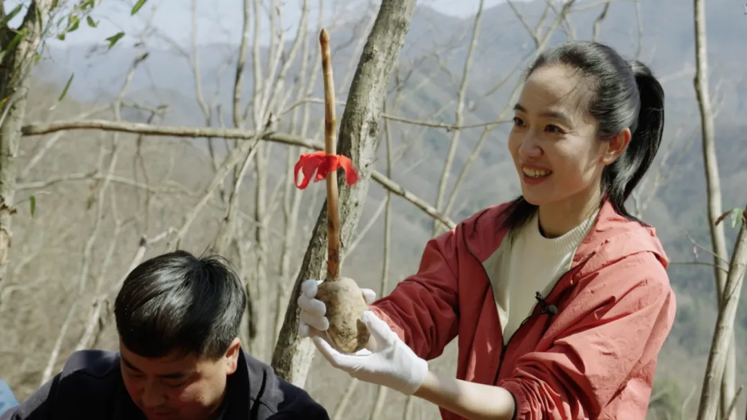 央視財經(jīng)關(guān)注！看漢中如何探索鄉(xiāng)村振興之路→