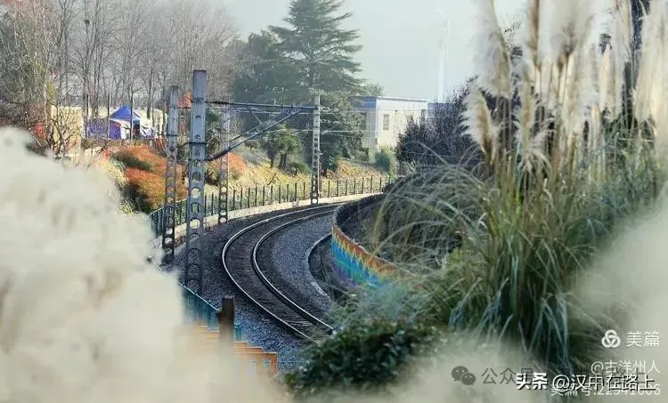 春節(jié)不遠游！漢中這幾個地方嗨翻天